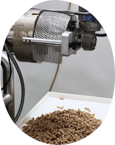 HelseFoods-Pasta-Manufacturing-unit-384x484px Pasta Manufacturing Machinery with Fusilli pasta on a white tray at Helse Foods